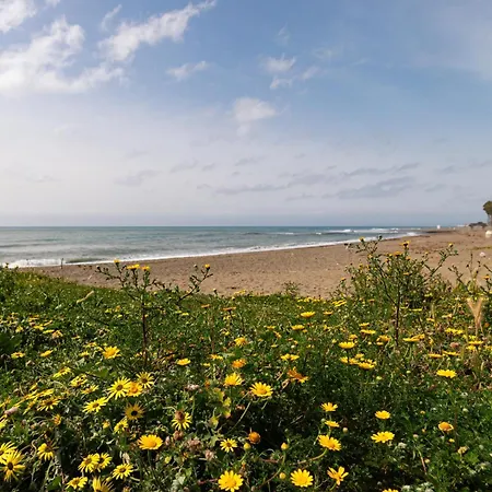 Park * Estepona